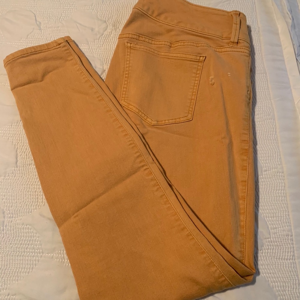 Torrid Jeggings- Mustard